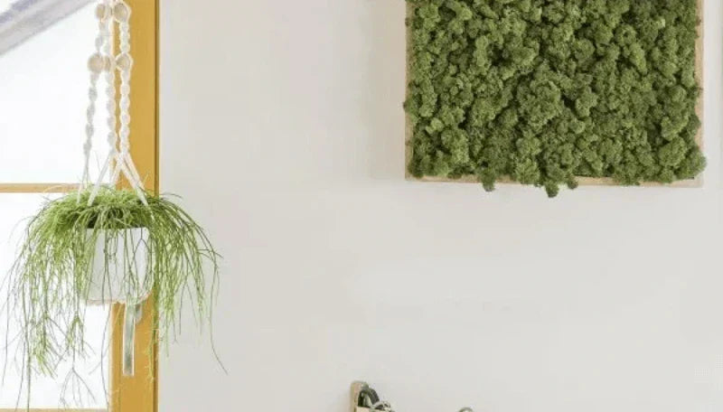 Jaka jest prawidłowa wilgotność powietrza? Optymalne wartości i sposoby kontroli