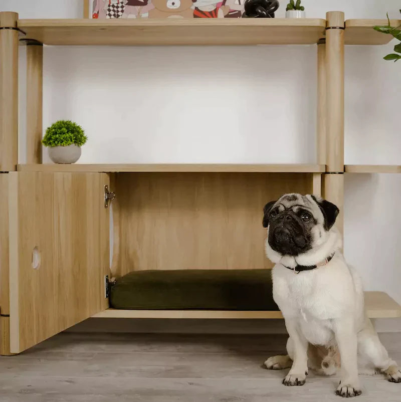 noe shelving system - 3 shelves + pet cabinet